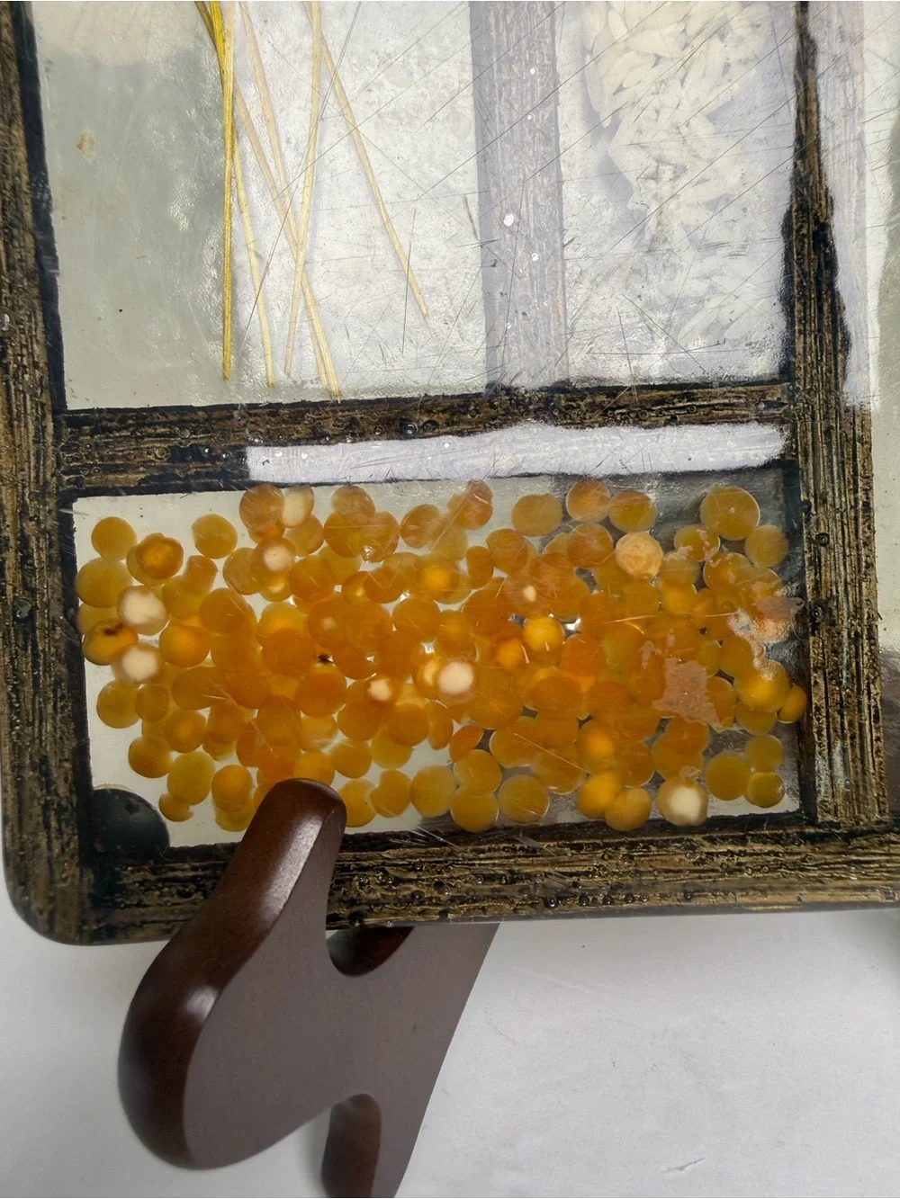 Botanical Glass Panel Wall Decor in Amber and Cream